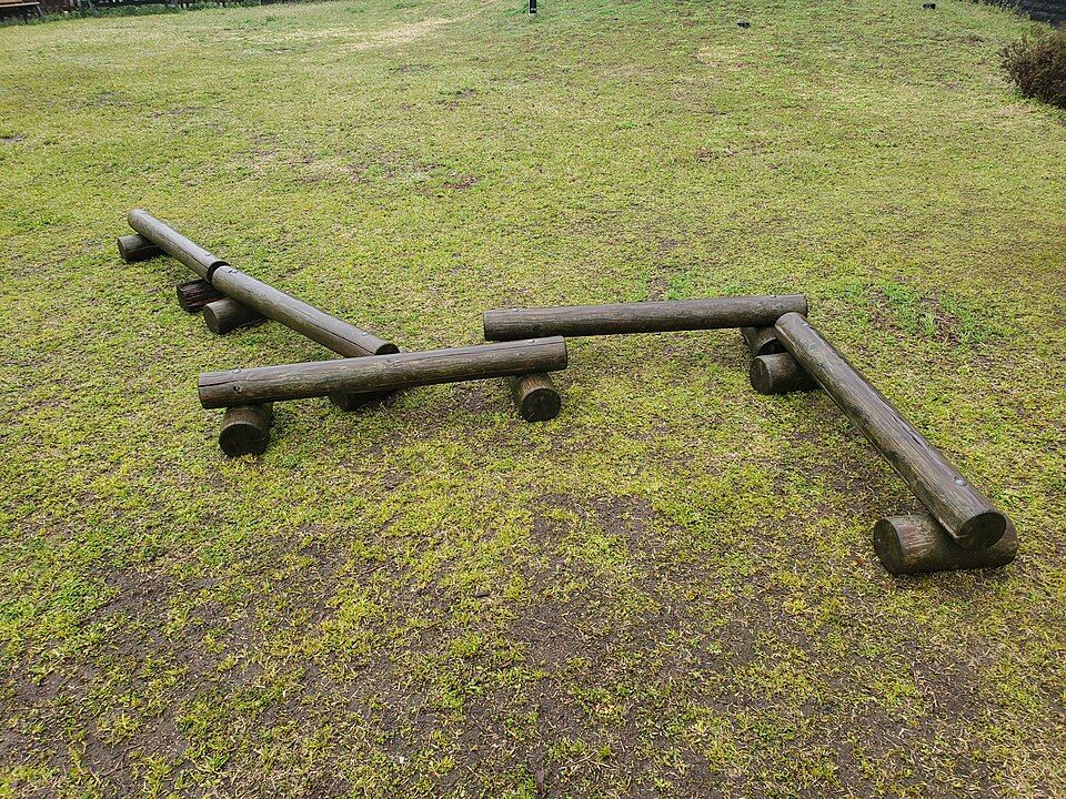 公園の木製遊具の例